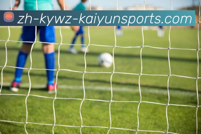 ky开云APP 封面图